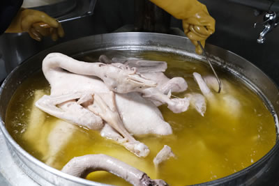 每日現場烹煮
